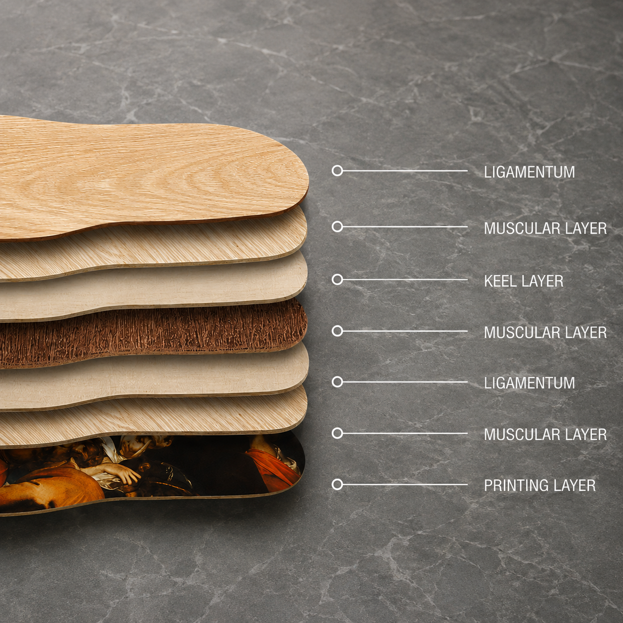 Exploded cross-section of a skateboard deck showing maple wood layers and printed artwork layer